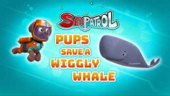 Sea Patrol: Pups Save a Wiggly Whale