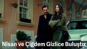 Nisan and Cigdem met secretly