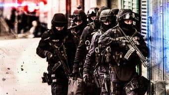 Taking Down the Gangs