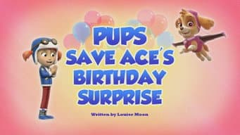 Pups Save Ace's Birthday