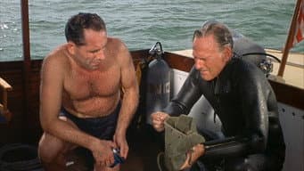 Flipper's Treasure
