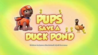 Pups Save a Duck Pond