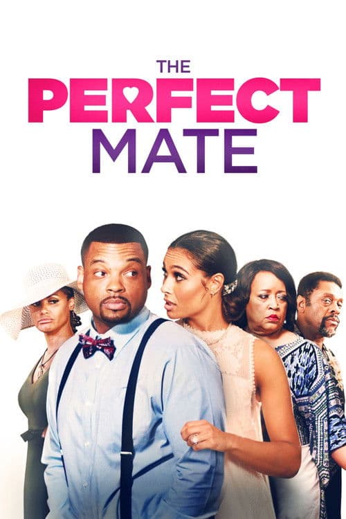 The Perfect Mate