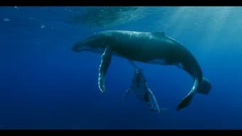 Conquest of the Oceans